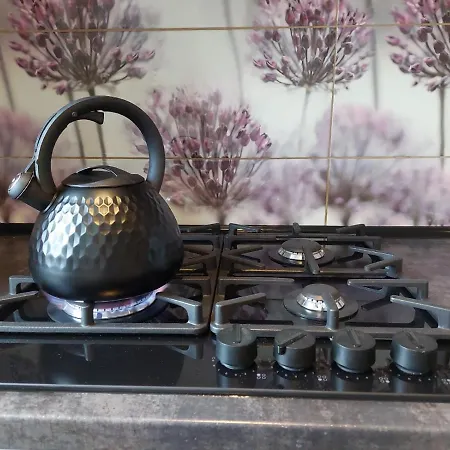 Letnia Oliwa Appartement *