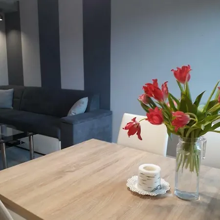 Letnia Oliwa Apartmán *