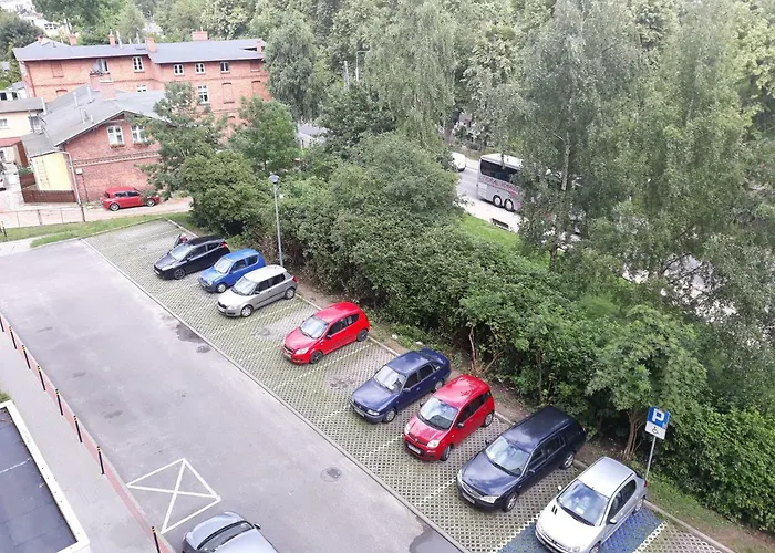 Letnia Oliwa Gdańsk