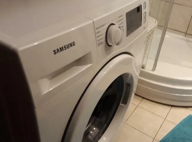 Letnia Oliwa Gdańsk