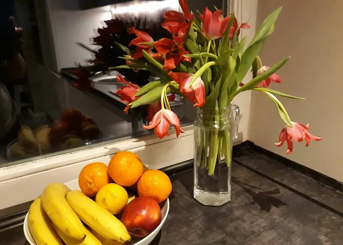 Apartment Letnia Oliwa *