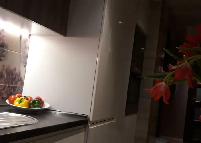 Letnia Oliwa Apartment